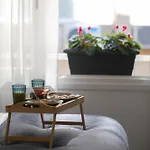 Lia's Luxury Intown Apartment, Primary Location アパート